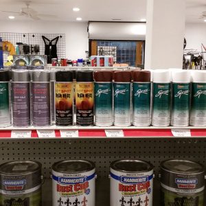 Showroom Spray Paint & Primer
